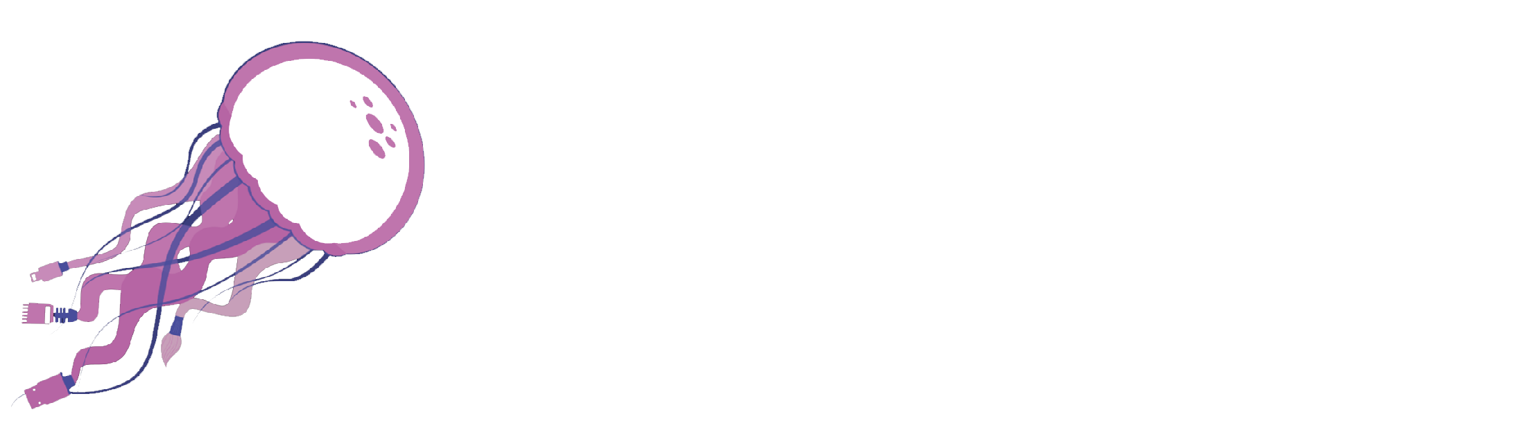 Méduse Systèmes