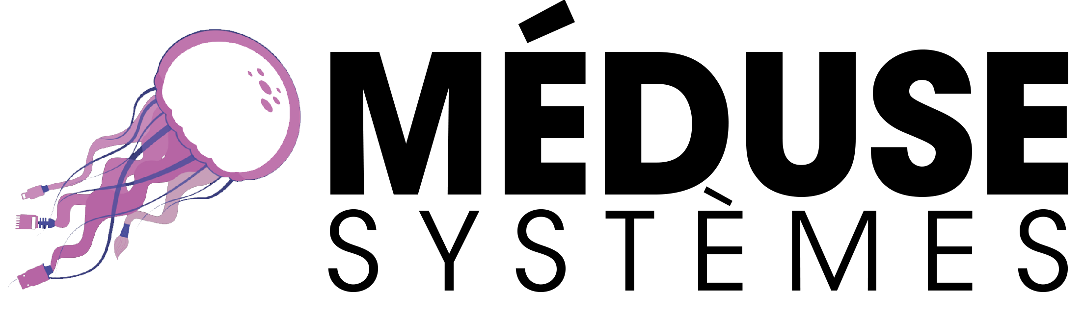 Méduse Systèmes