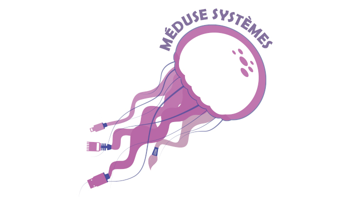 Méduse Systèmes méduse systemes
