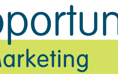 Agence marketing IT dans le 13: OpportunIT