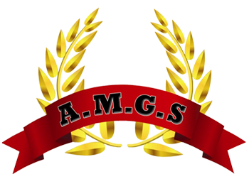 Agence de sécurité Marseille : AMGS