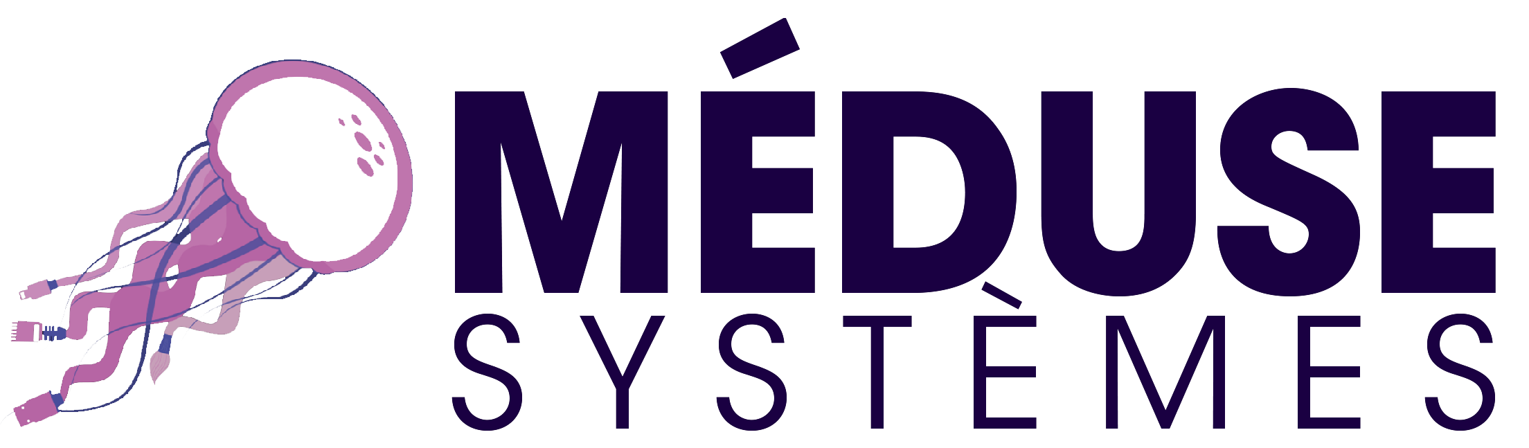 Méduse Systèmes