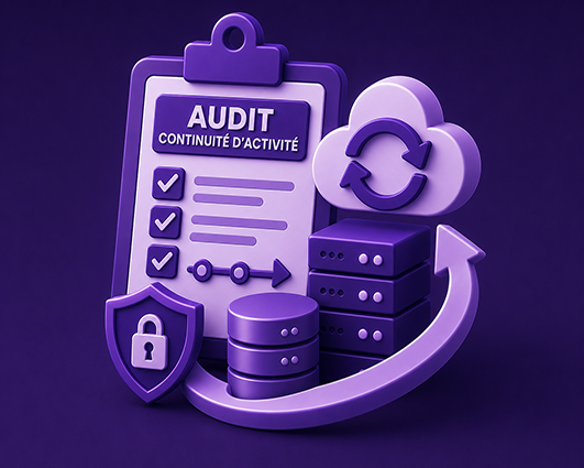 Audit<br>Continuité d'activité